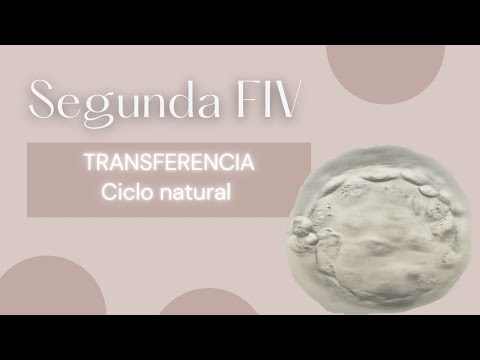 Vídeo: Com Fer La FIV