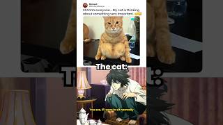 Bro will definitely find Kira 😼