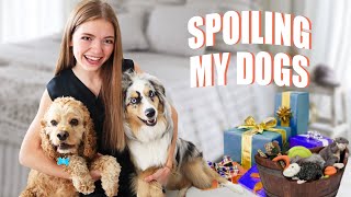 SPOILING MY PUPPIES FOR A DAY