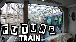 Tokyo Day-3 | Ride in Futuristic Train | Statue of Liberty in Tokyo?