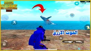 الحوت الازرق PUBG MOBILE  تحشيش ببجي موبايل