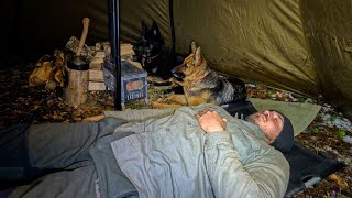 Hot Tent Snow Camping with my Dogs | Surviving in Winter Conditions with Tent & Stove