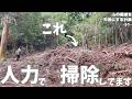 【大変です】超絶大量の木屑の山を人力で…。伐採した木の処理。【51話】