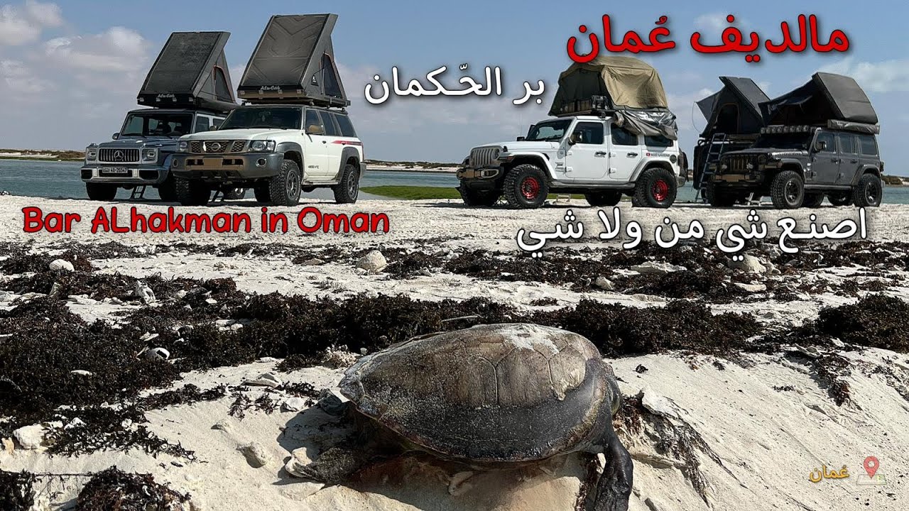 مالديف عُمان - اصنع شي من ولا شي - بر الحّكمان