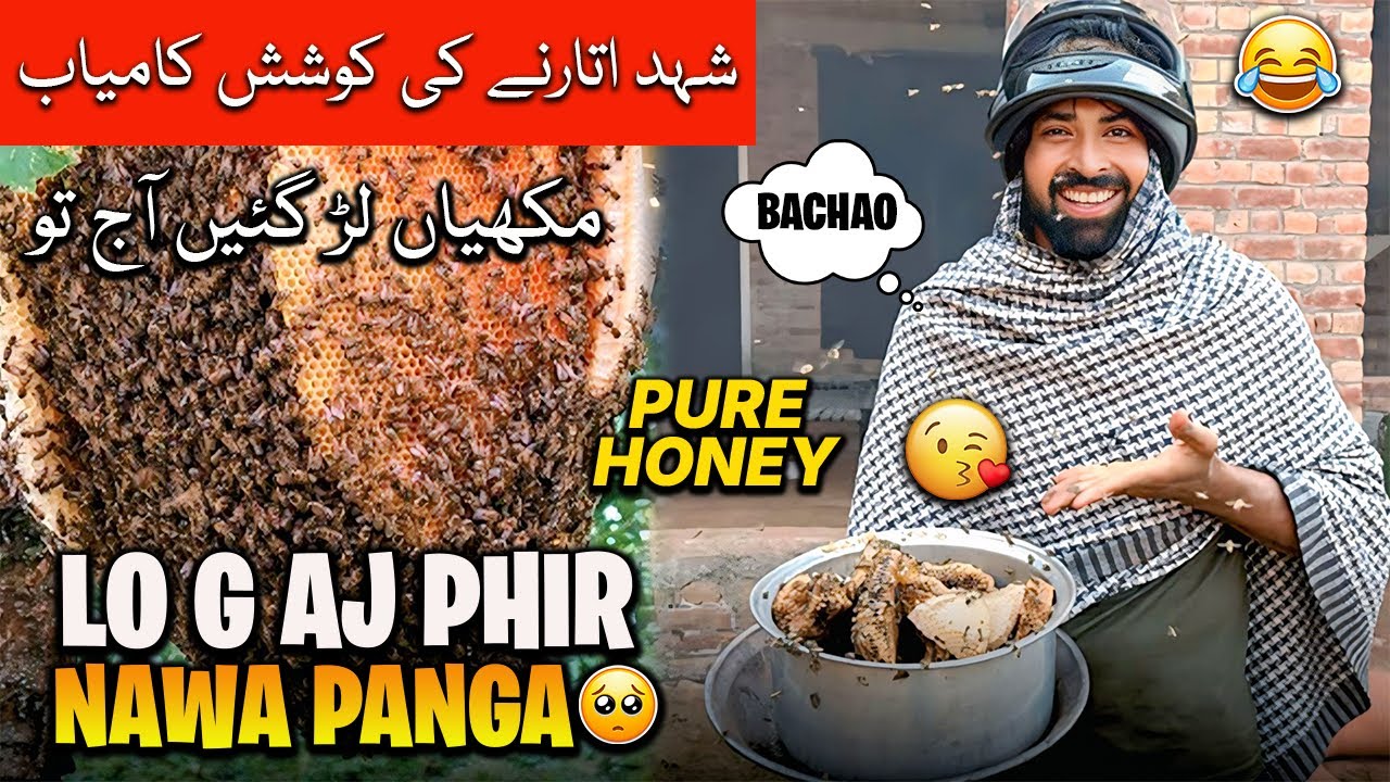 Aj Pure Honey Utara 🍯 Aj Ka Roza Kesa Guzra 😍 | شہد اتارنے کے ساتھ ساتھ مکھیاں لڑ گئیں
