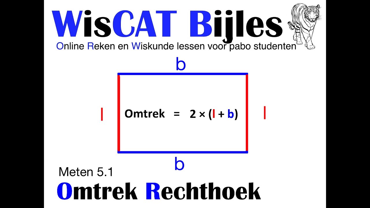 Omtrek Rechthoek - WisCAT Werkboek: Meten 5.1