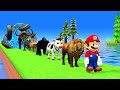 Long Slide Game With Cow Elephant Gorilla Hippopotamus Tiger 3d Animal Game Funny 3d Animals