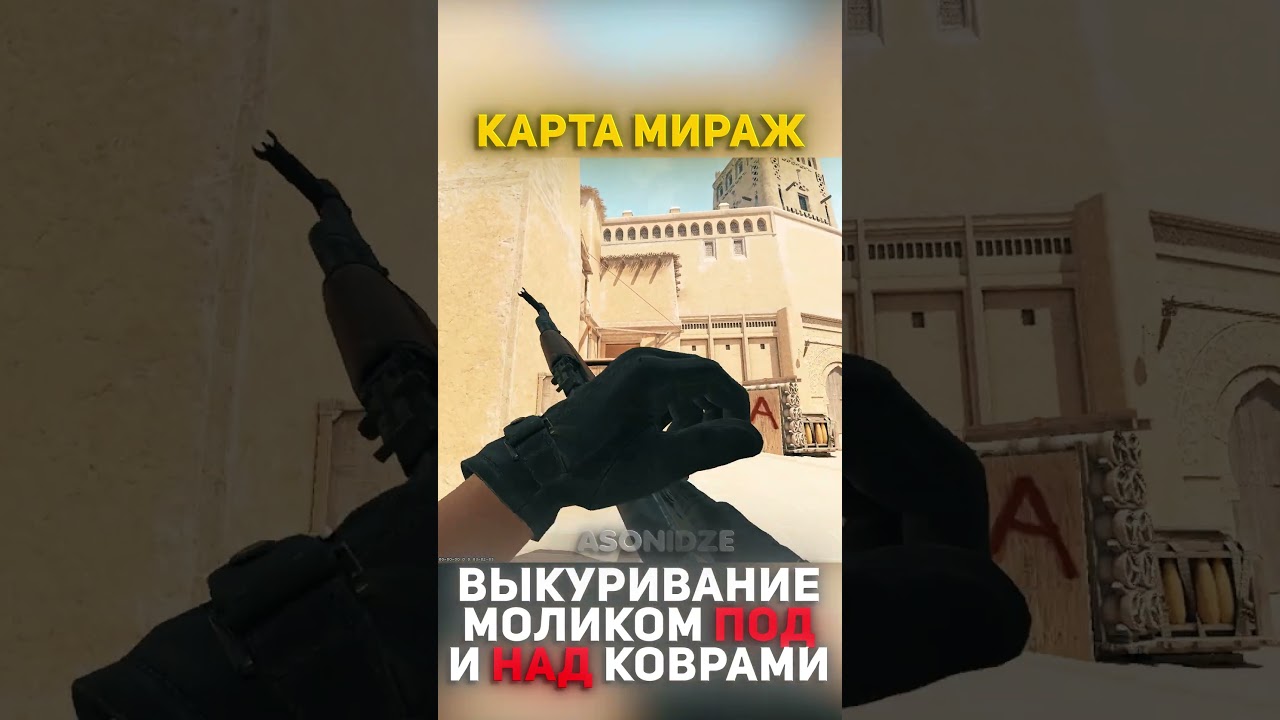 Выкуривание моликом под и над коврами 