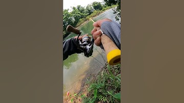 Chủ nhật đi săn chày thôi anh em