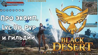 Black Desert Online. Про ЭКВИП, Lvl Up, PVP & Гильдии
