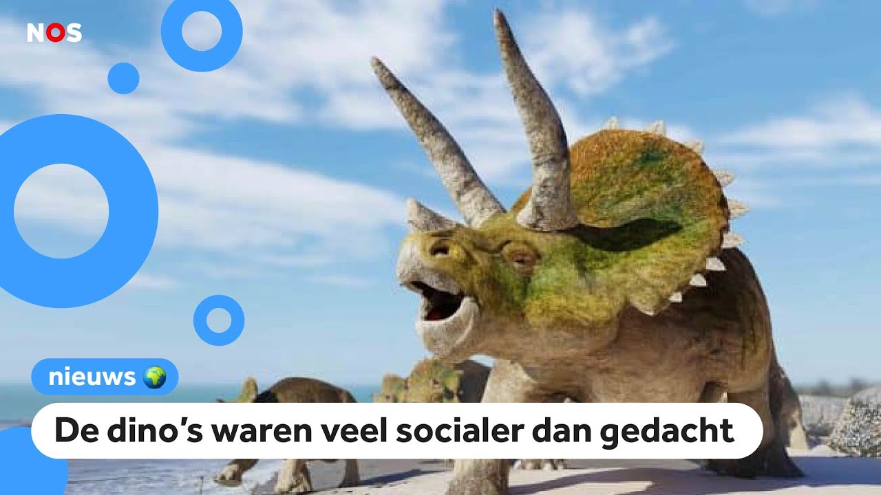 Nederlander ontdekt dat bekende dino in groepen leefde - YouTube