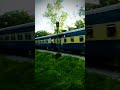 Train Viral Train Viral