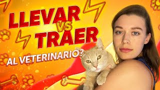Как не путать LLEVAR vs TRAER? / Испанский для начинающих