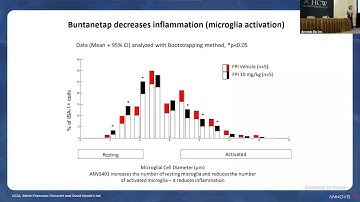 H.C. Wainwright 2025 - ANVS Presentation, September 10