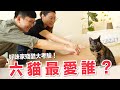 【好味小姐】六貓最愛誰？好味家殘酷大考驗｜好味貓日常EP81