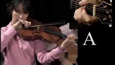 Fiddle for the Absolute Beginner: Essential Posture, Scale & Shuffle Bow By Jim Wood
