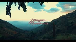 Morogoro Uluguru Mountain \/ Morning Sight By Greatminds Tour \& Safari