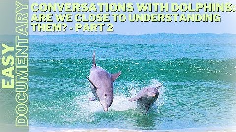Conversations with Dolphins: Are We Close to Understanding Them? - Part 2 - Full Documentary