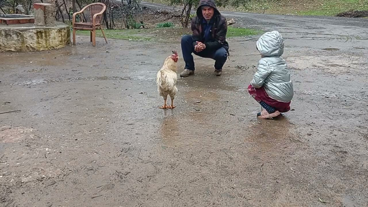 شاهد معنا حياة البسطاء في البادية جبالة ❤️
