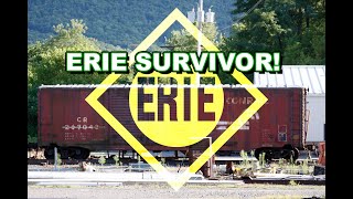 CONRAIL TODAY: Erie survivor found in Lock Haven Yard!.. Switcher survivor on Reading &amp; Northern