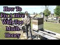 How To Fix A Hive With Too Much Honey