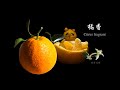 【橘香】又到了柑橘收获的季节，满树金灿，甜美喜人……    My citrus is ripe, fruitful, sweet, and gratifying.
