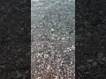 Очень успокаивающий звук #вода
