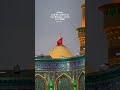 Loyalty had name that day🤍 #karbala #imamhussain #hazratabbas #iraq #peace #beauty #maulaali