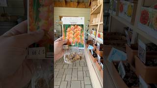 Does This Egg Carton Gardening Hack Really Work For Growing Flower Bulbs? Does This Egg Carton Gardening Hack Really Work For Growing Flower Bulbs?