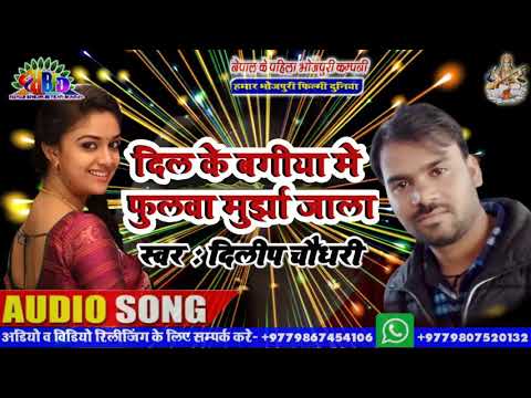 new-sad-song-2019---super-hit-bewafai-song---दिल-के-बगिया-मे-फुलवा-मुर्झा-जाला---dilip-chaudhary