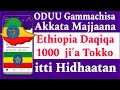 Akkata Majjaana Ethiopia Daqiqa 1000 Ji A Tokko Guttuu Data Waliin Itti Hidhaatan Sawa Irraati Akkata Majjaana Ethiopia Daqiqa 1000 Ji A Tokko Guttuu Data Waliin Itti Hidhaatan Sawa Irraati