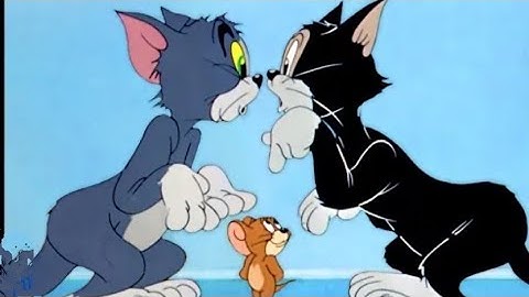 Tom & Jerry | It