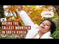 A DAY IN MY LIFE // Hiking to the peak of Korea’s tallest mountain: Hallasan (한라산 등반)