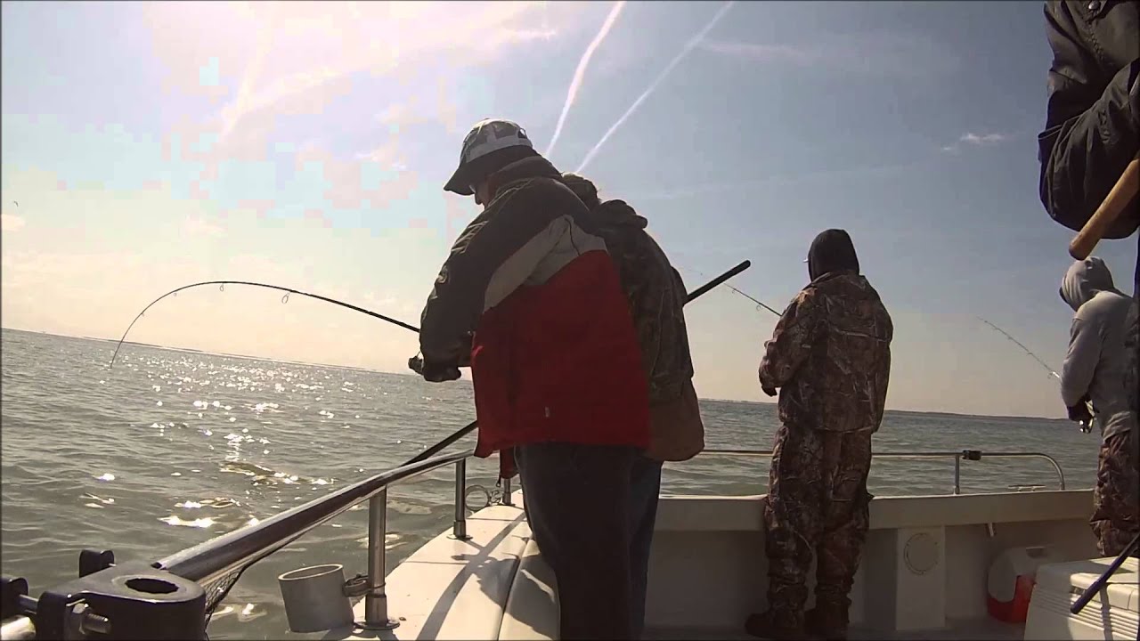 national walleye tour port clinton