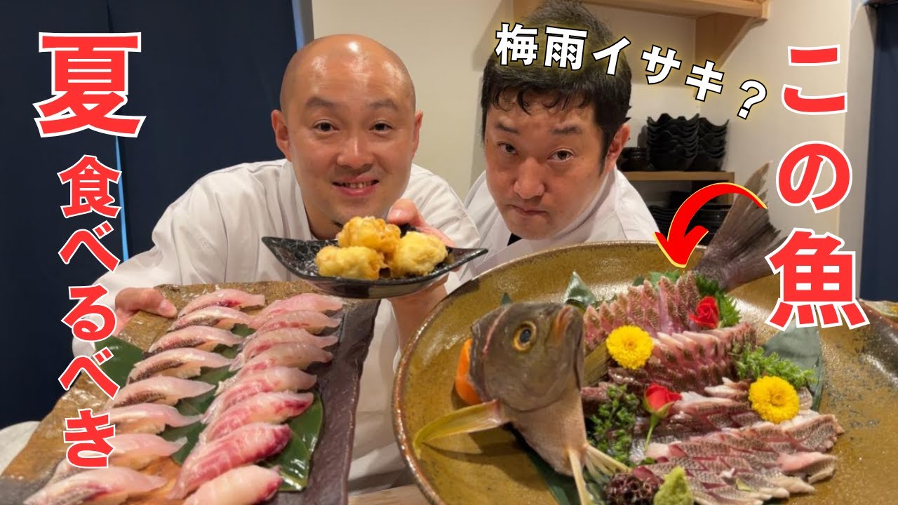 【保存版】梅雨イサキを一流の寿司職人が捌きながら解説！旬を味を体験