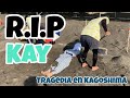 La vida de KAY #78 ~Bañera de arena?!~