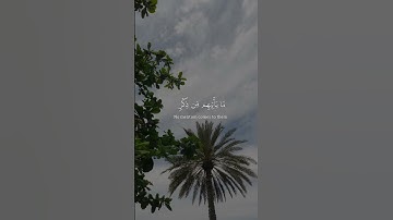 سورة الأنبياء | القارئ سعد الغامدي
