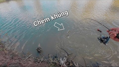 Câu cá chẽm cà mau mùa gió chướng , đụng ổ chẽm tự nhiên