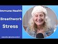 Immune Boost &amp; Anxiety Release Breathwork + Chair Class  (Series Video #1)@heatherannferri