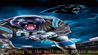 Trends International NFL Carolina Panthers - 3 Point Stance 19 Wall Poster, 14.725" x 22.375", Prem