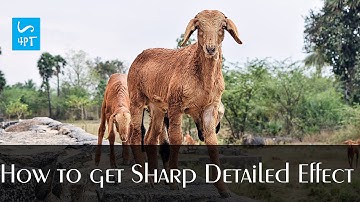 How to get Sharp Detailed Photo Effect, Photography Post Processing Photoshop Tutorial