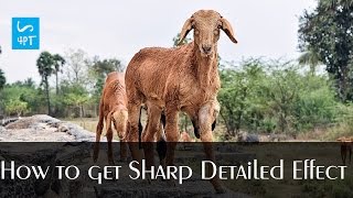Full How to get Sharp Detailed Photo Effect, Photography Post Processing Photoshop Tutorial News