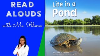Life in a Pond by: Carol K. Lindeen | Kindergarten Read Aloud