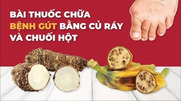 Bài thuốc chữa bệnh gút thần kỳ bằng củ ráy và chuối hột