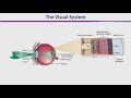 PSY402 Experimental Psychology Lecture No 72