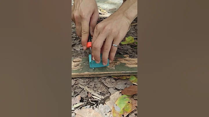 Soap🧼🌲 #CampingHacks #DIY #LifeHacks #SurvivalSkills #OutdoorLiving