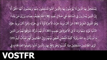 Sourate Ach-Choura | Ach-Chatri (42) سورة الشورى | ابو بكر الشاطري