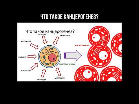 Video: Karcinogeneza