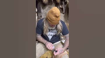 11 Obsidian Arrowheads From One Piece #obsidian #survival #bushcraft #knapping #minecraft