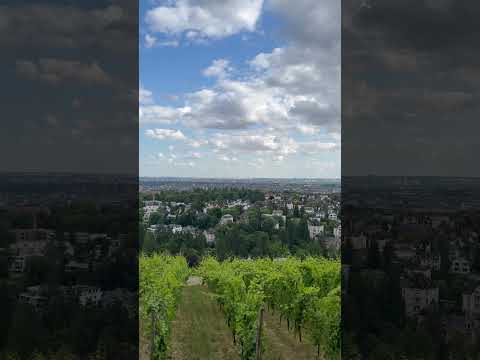 The best view